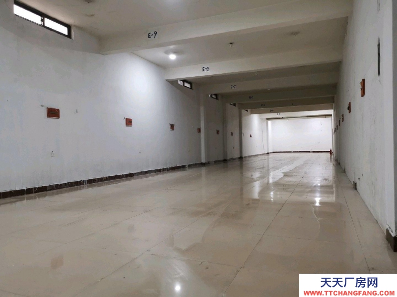 金華市東陽(出租) 地下室岀租，位置佳，2噸電梯。