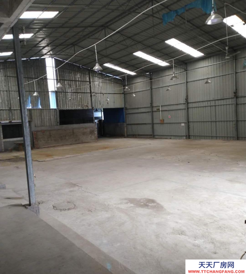 金華市東陽(出租) 橫店夢上海附近700平米倉庫，交通便利