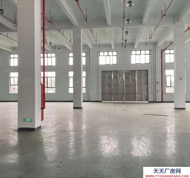 金華市東陽(出售) 全新廠房出售，面積1000平起均價2702成帶食堂宿舍