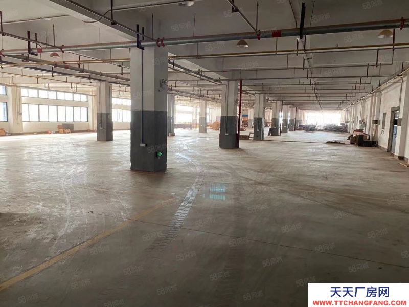 金華市東陽(yáng)(出售) 全新廠(chǎng)房出售，面積1000平起均價(jià)2702成帶食堂宿舍