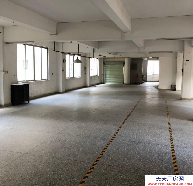 (出租) 陽(yáng)江陽(yáng)西自建獨(dú)立廠房，四面見(jiàn)光，水電，消防齊小型加工