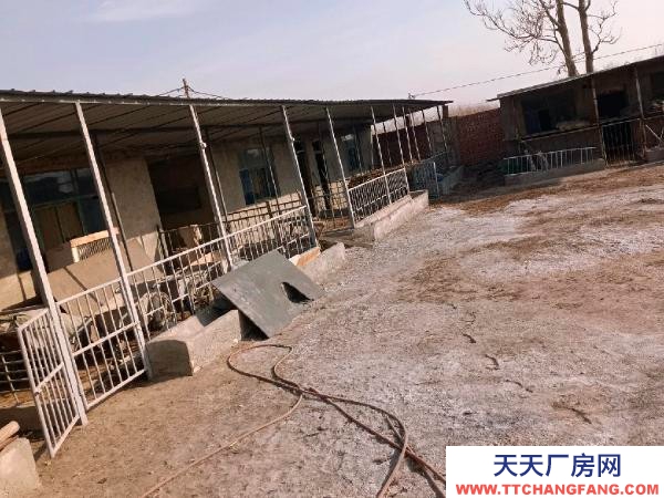 銀川市賀蘭機加工廠房 民用，前面是四合院兒，后面是羊圈