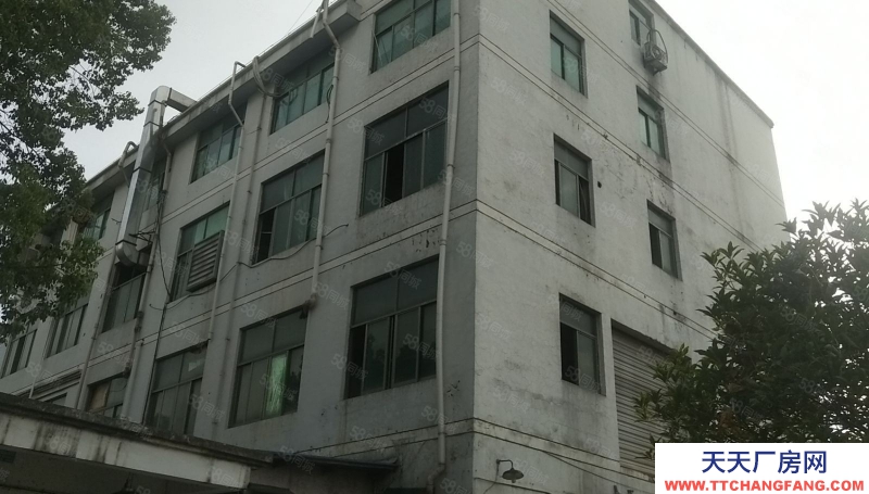 金華市東陽(yáng)(出售) 東陽(yáng)五馬塘獨(dú)門(mén)獨(dú)院廠(chǎng)房，緊挨義烏