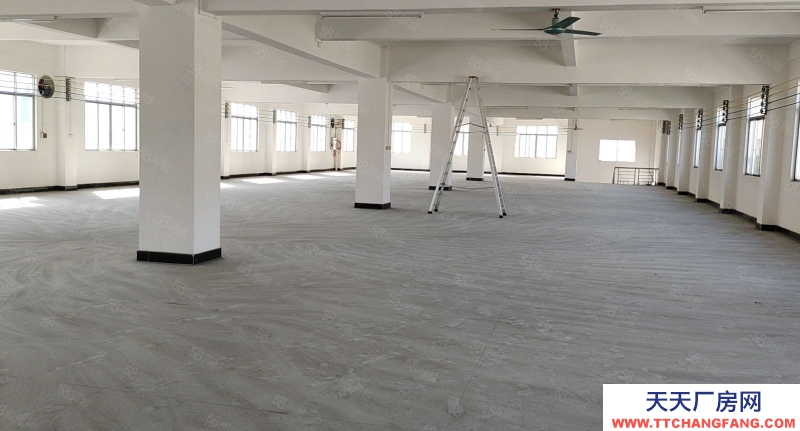 (出租) 陽江陽東廠房出租，適合制衣廠，包裝，電子等