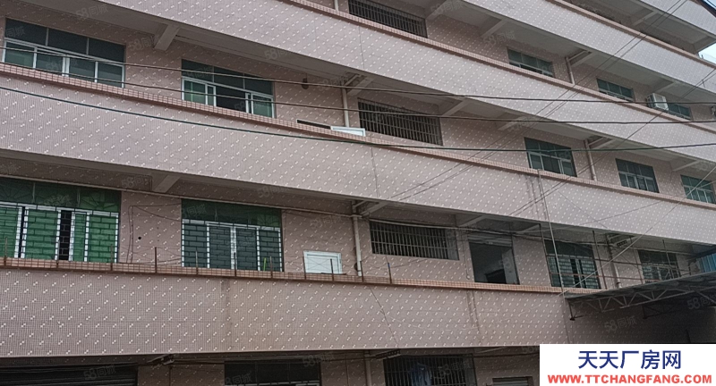 (出租) 陽江陽東東風四路一層廠房，租6元平方，有貨梯適合五金電子