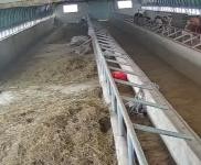 (出售) 信陽固始一個牛圈一個羊圈一個雞舍，兩套農宅