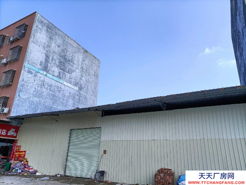 (出租) 陽江江城位于雅白線旁，交通十分便利，可做倉庫，廠房，商鋪