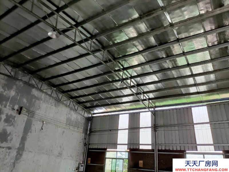 (出租) 陽江江城位于雅白線旁，交通十分便利，可做倉庫，廠房，商鋪