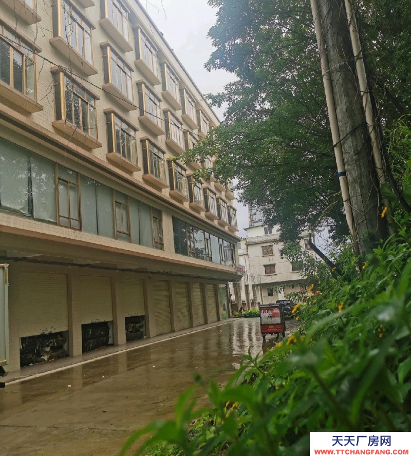 (出租) 陽江陽春單層600平方，共5層適合物流倉庫貨加工廠房