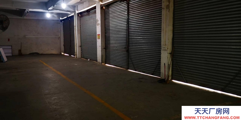 (出租) 陽江陽春出租800平方米廠房、倉庫適合倉儲、物流