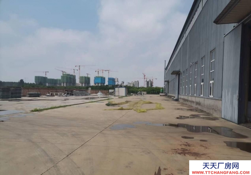 滄州 新華(出租)小麥粉 廠房高12米，寬敞！進出車方便！