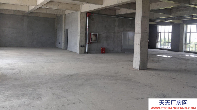 滄州 新華(出售) 出售滄州開發區廠房 單層廠房多層食品廠房可定制