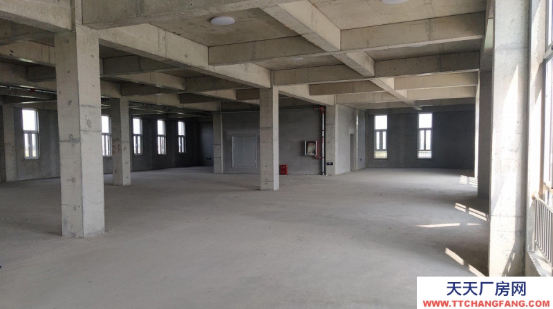 滄州 新華(出售) 出售滄州開發區廠房 單層廠房多層食品廠房可定制