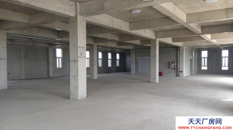 滄州 新華(出售) 出售滄州開發(fā)區(qū)廠房 單層廠房多層食品廠房可定制