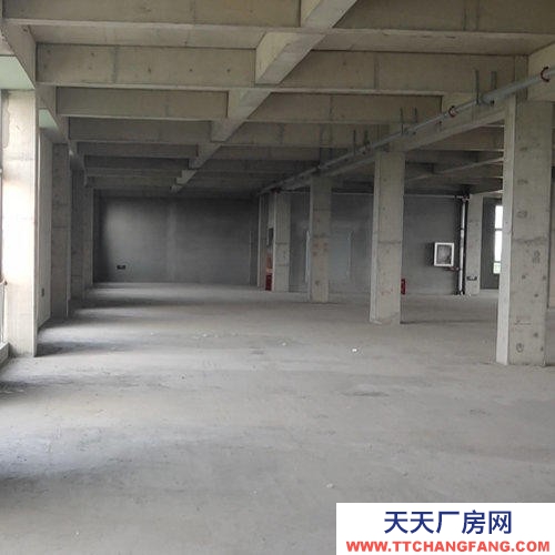 滄州 新華(出售) 滄州葡萄酒及果酒廠房1000-10000平米 面積可分割可貸款