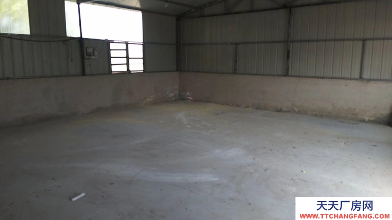 滄州 新華(出租) 出租新華新華八里屯周邊倉庫出租