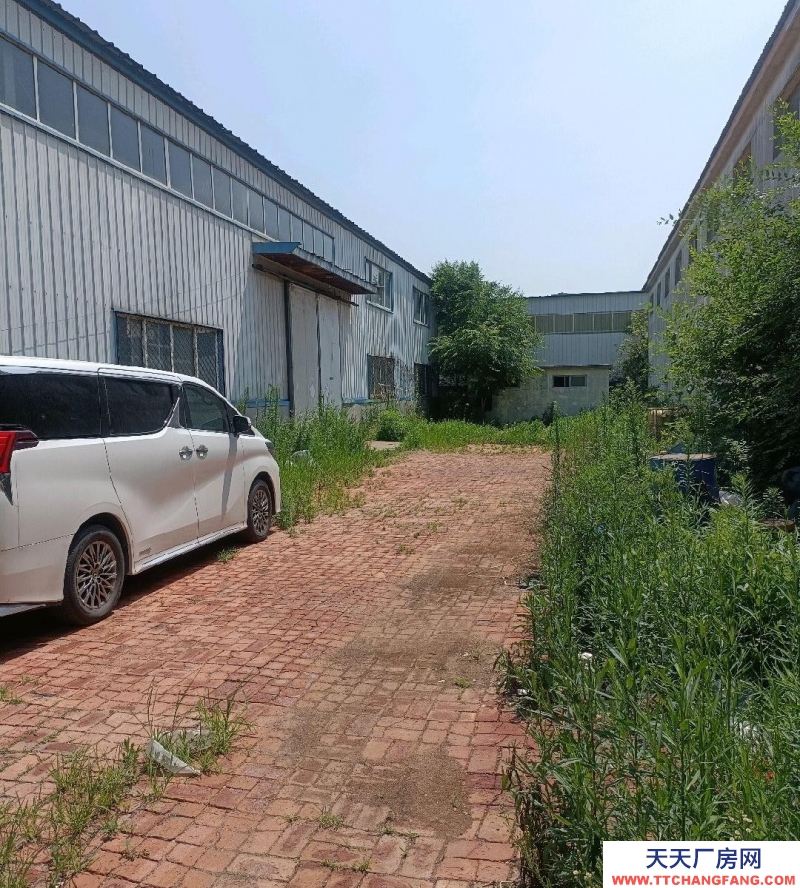 滄州 黃驊(出租) 廠房鋼架結(jié)構(gòu)，水泥地面，卸貨裝貨方便