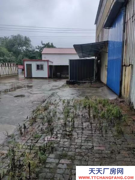 滄州 泊頭(出租) （易幫源）泊頭市蘇辛莊村540平干制水產(chǎn)品廠房