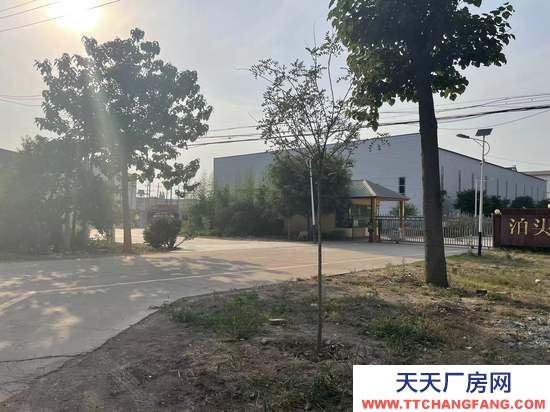 滄州 泊頭(出租) .滄州泊頭新建3000平標準天車蔬菜制品廠房出租(直租)