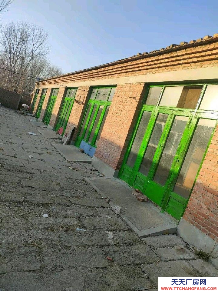 滄州 泊頭(出租) 裕華路鐵路大橋附近平房出租