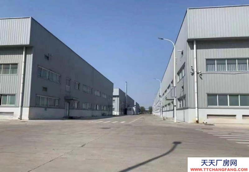 滄州 鹽山(出租) 出租滄州高標準食品廠房 高15米 跨度20米中間無立柱 有天車