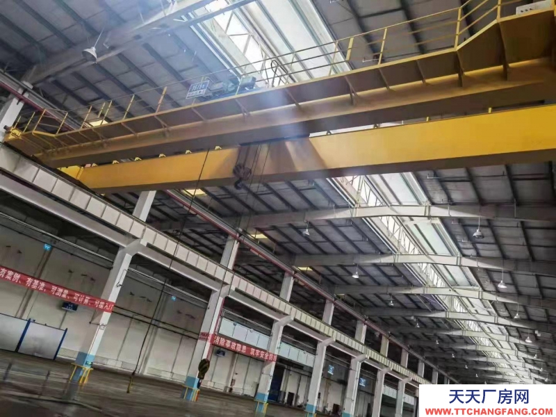 滄州 鹽山(出租) 出租滄州高標準食品廠房 高15米 跨度20米中間無立柱 有天車