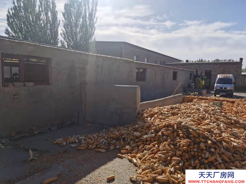 (出售) 包頭成型個人養殖場出售出租