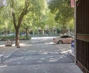 (出租) 駐馬店西平交通便利，功能齊全，超大面積，用途廣泛！