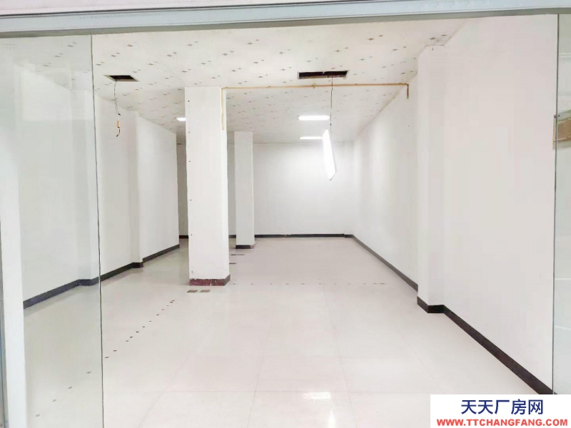 衢州市柯城(出租) 柯城南區(qū)百匯路丹桂小區(qū)金都花園辦公寫字樓倉儲倉庫住宅住宿開店