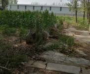 (出售) 駐馬店驛城正規房源，安全可靠，獨立廠房，可以養殖