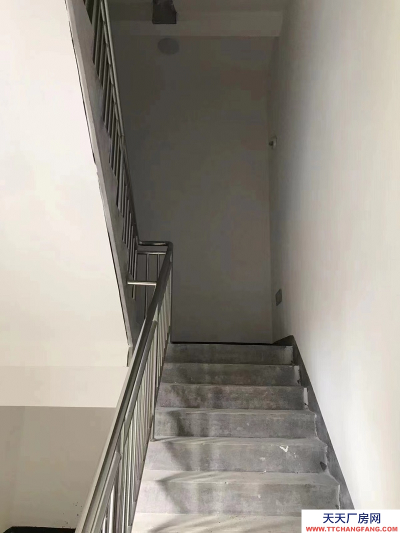 獨棟雙拼廠房,小面積戶型。