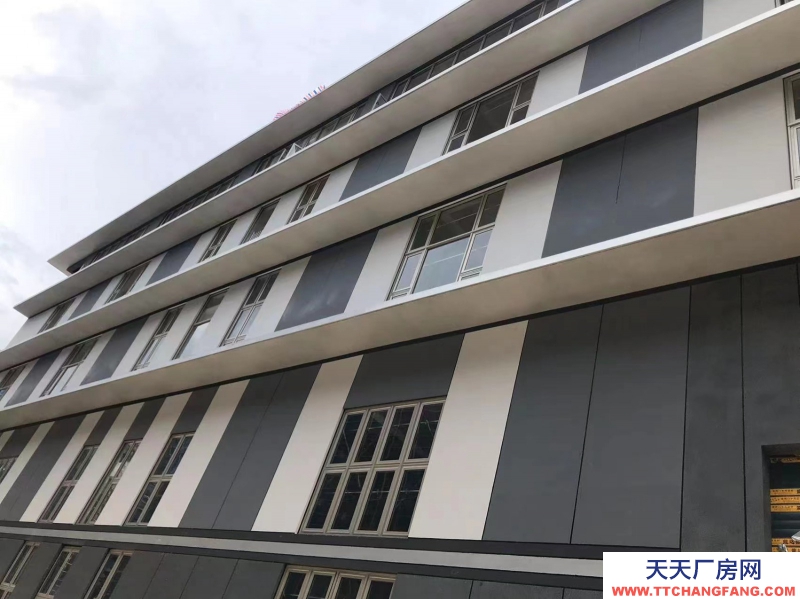 出售杭州稀缺花園獨棟廠房 可按揭 年底交房