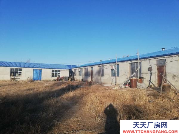 鐵峰廠房可以養 雞 豬 羊 牛 種大棚種植果樹