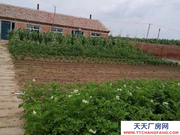 梅里斯適合各種養殖業，環境好，空氣好，養殖設備齊全