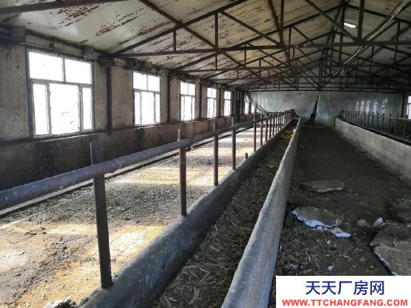 龍江養(yǎng)殖廠出租，低價(jià)出售，整體面積10000平方左右。