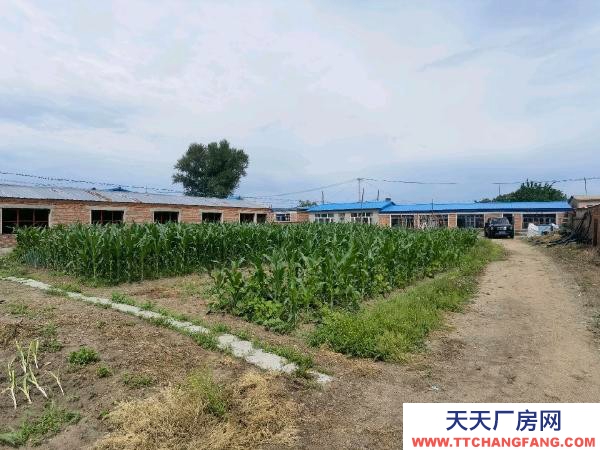 甘南房照面積：119平，無照住人80平，廠房200平 養殖廠房