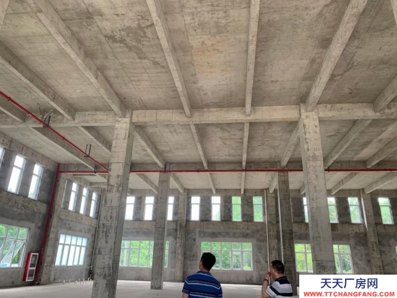 衢州市柯城(出售) 緊抓市場機遇，才能實現創收！