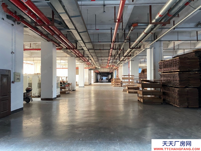 衢州市衢江(出租) 大家居產(chǎn)業(yè)園可噴漆粉塵，汽車電梯可上樓，層層都是一樓