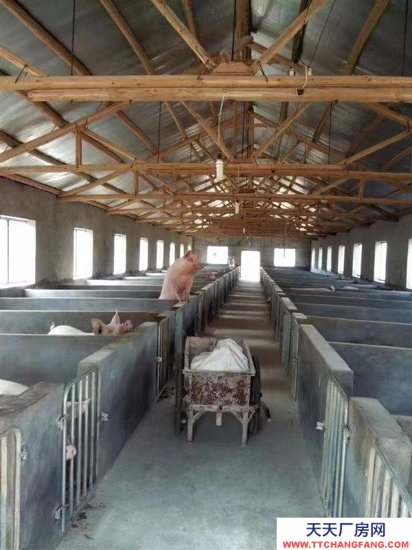 衢州市衢江(出租) 出租衢江區(qū)全旺鎮(zhèn)柴公崗所地養(yǎng)殖場、或作加工廠或倉庫