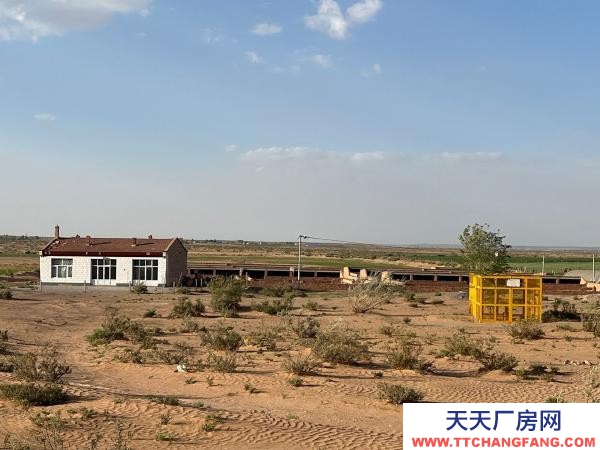 吳忠市鹽池養殖廠 養殖方便快捷,可養羊,養雞。草料房,洗羊池,水井,住宅區都有