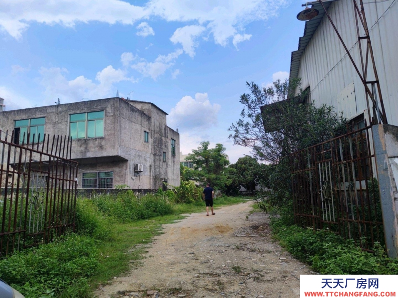 (出租) 潮州饒平新裝修鐵皮廠房，一樓2000平方和800平2個廠