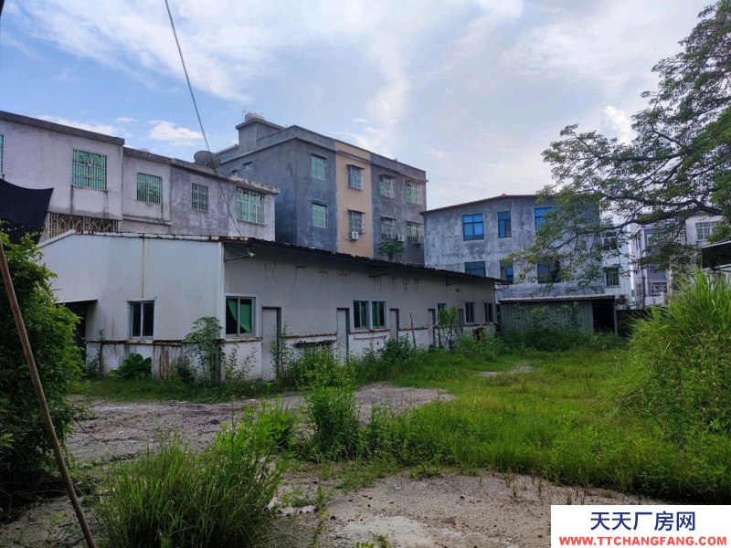 (出租) 潮州饒平新裝修鐵皮廠房，一樓2000平方和800平2個廠