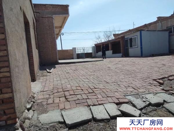 石嘴山市惠農(nóng)養(yǎng)殖場(chǎng)出租(適合養(yǎng)豬、養(yǎng)、牛)