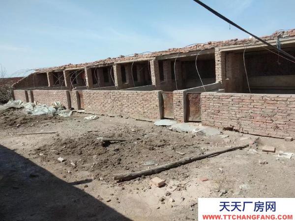 石嘴山市惠農(nóng)養(yǎng)殖場(chǎng)出租(適合養(yǎng)豬、養(yǎng)、牛)