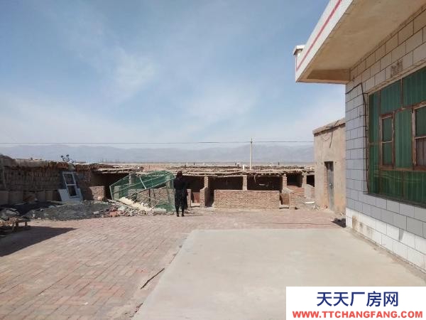 石嘴山市惠農養殖場出租（適合養豬、養、牛）