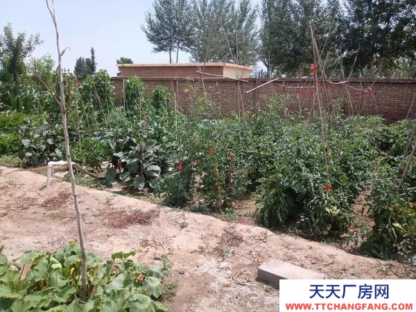 石嘴山市惠農(nóng)機加工廠房 自己的產(chǎn)業(yè)，手續(xù)齊全，價格可談出租出售均可談