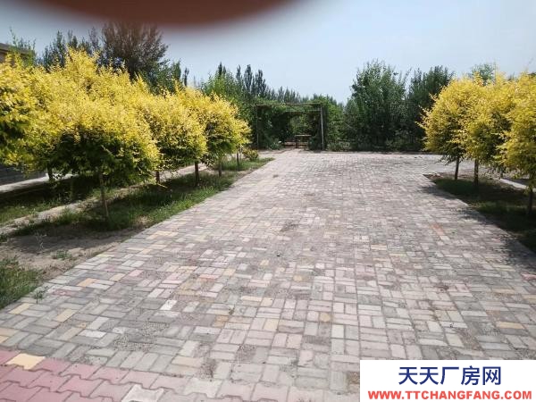 石嘴山市惠農(nóng)機加工廠房 自己的產(chǎn)業(yè)，手續(xù)齊全，價格可談出租出售均可談