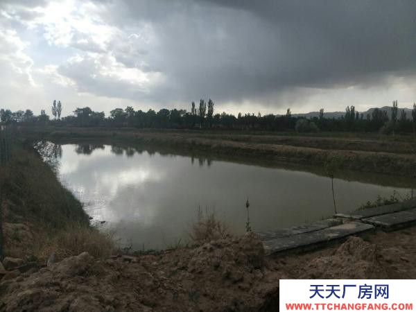 石嘴山市惠農物資倉庫  尾閘鎮中心路 倉庫 2間