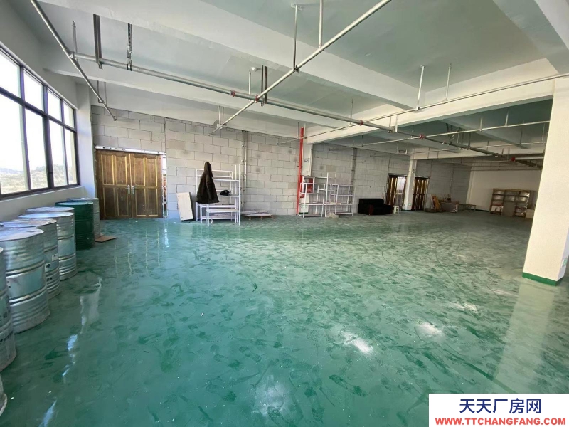 衢州市常山(出租) 精裝修標準廠房，可以分割出租