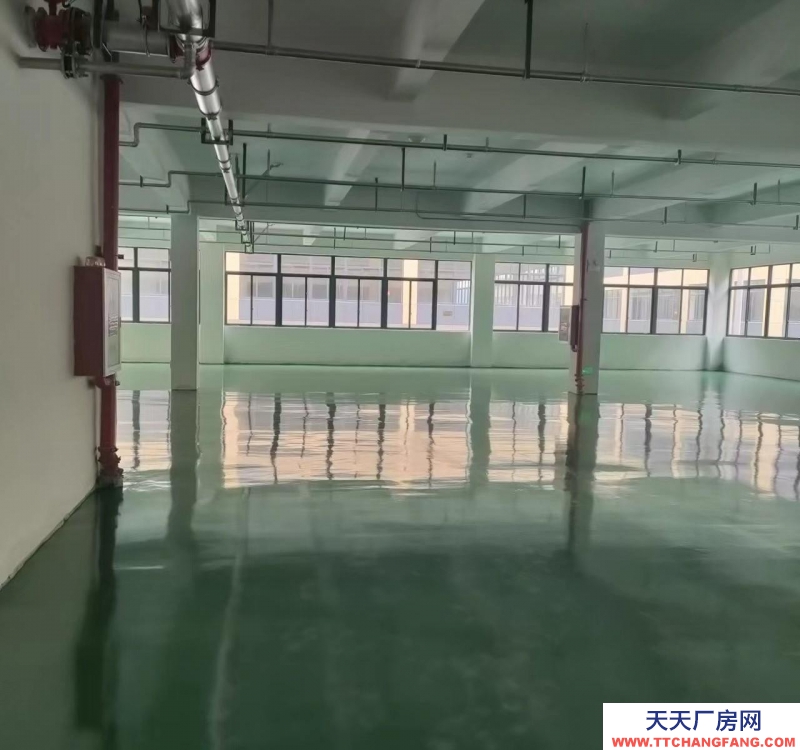 衢州市常山(出租) 常山萬洋叢創城二樓一個樓層